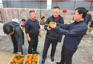 3499拉斯维加斯(官方认证)网站-Made in PRC